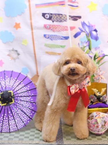 20240512ララちゃん